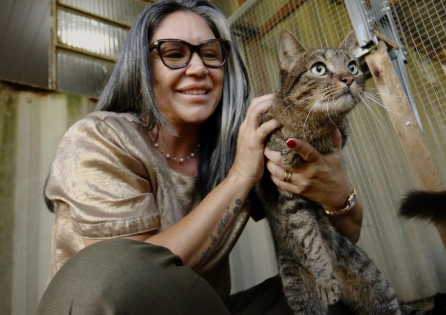 Ex-secretária do Bem-Estar Animal de Canoas é investigada por "matança desmedida" de cães; ela autorizava abate em larga escala