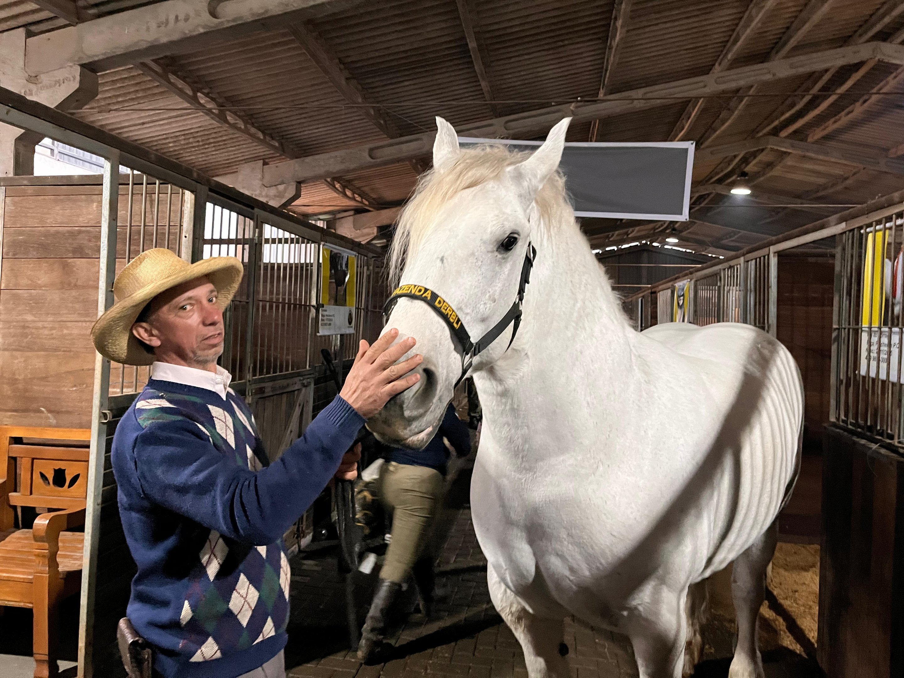 MAIOR CAVALO DO BRASIL: Raça Percheron chama atenção dos visitantes na Expointer