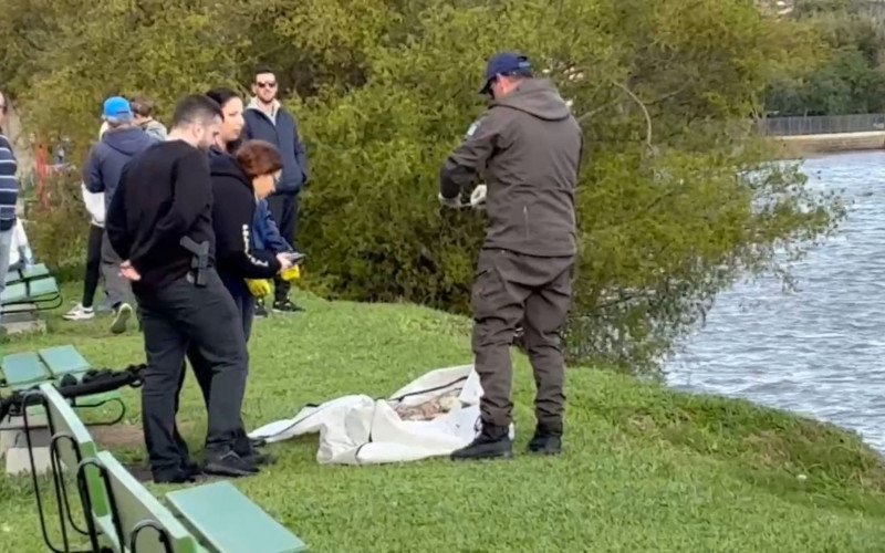 Após perna humana ser localizada no Guaíba, mais material biológico é encontrado boiando em Porto Alegre | abc+