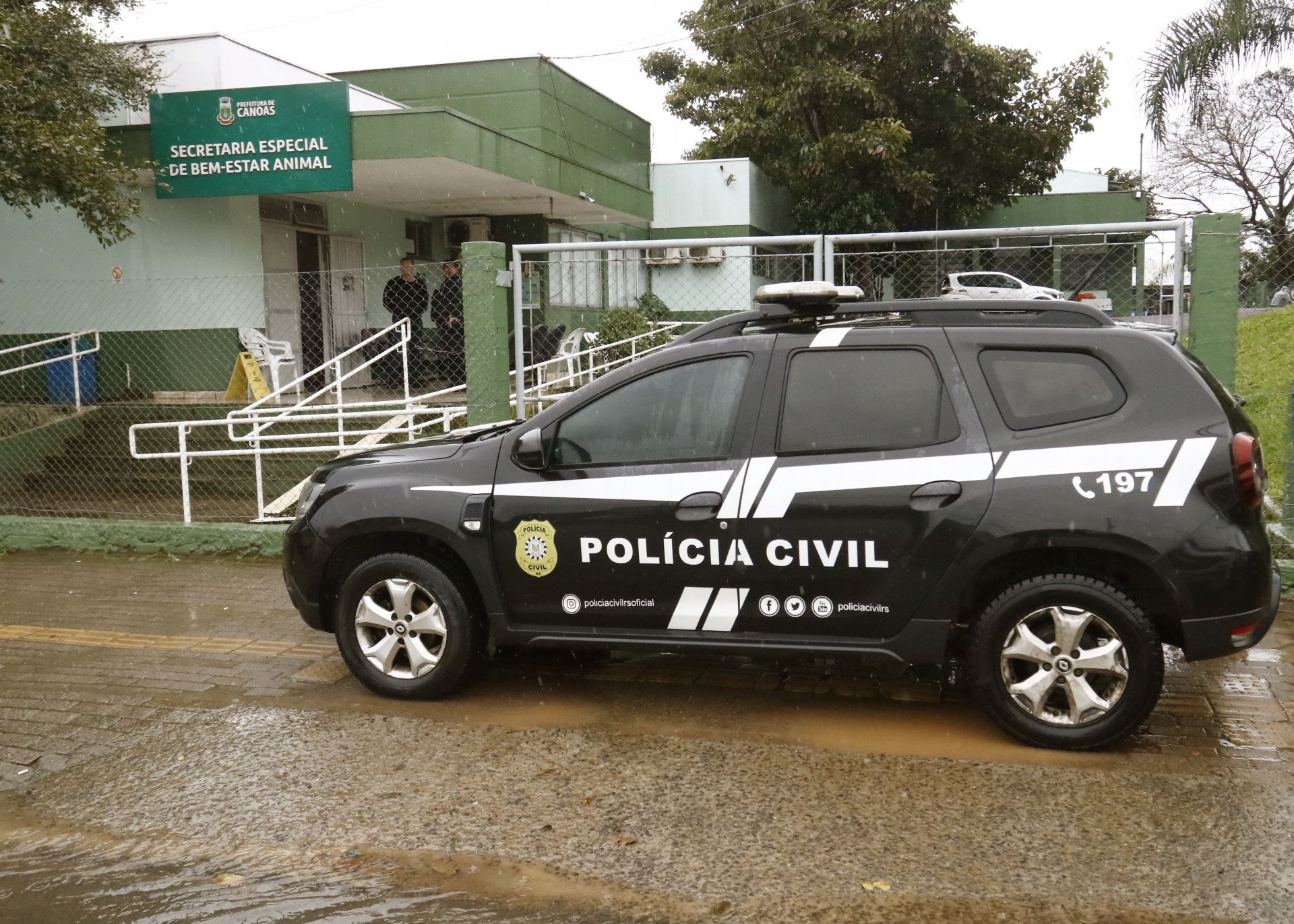 Saiba o que disse à Polícia ex-secretária do Bem-Estar Animal de Canoas suspeita de autorizar eutanásia de 239 cães e gatos