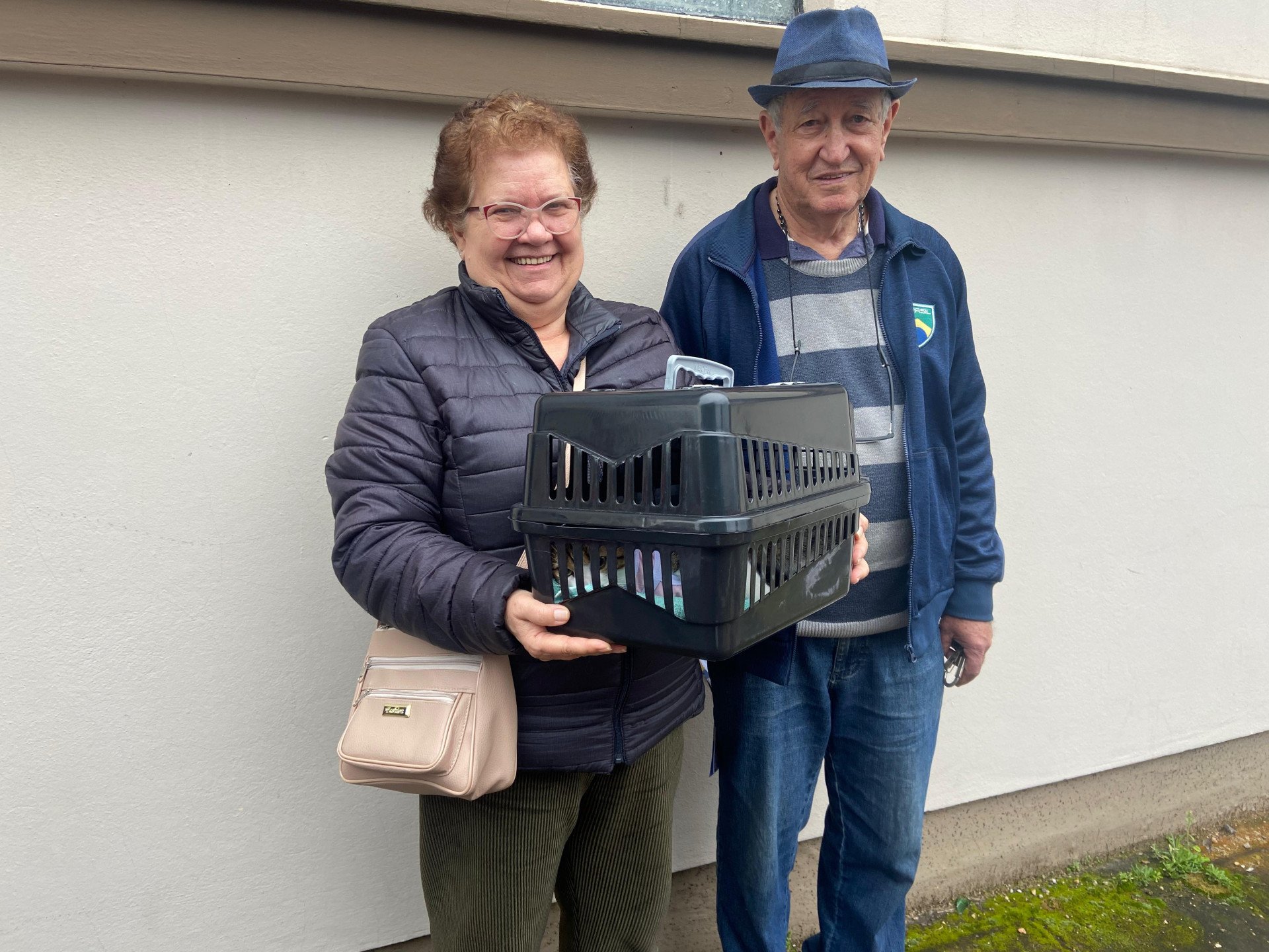 Amor e cuidado com os pets: 150 felinos são castrados no mutirão de Estância Velha