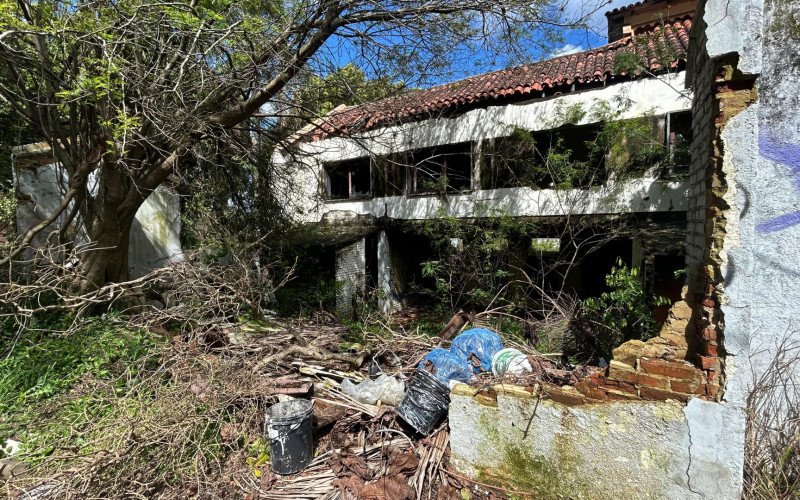 Cachorro foi resgatado em piscina de casa abandona em Novo Hamburgo