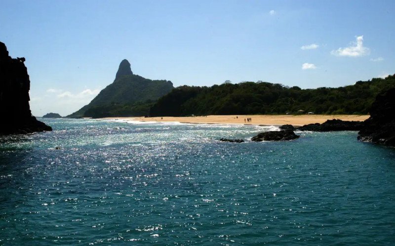 Ilhas brasileiras: estudo revela presença de espécies exclusivas | abc+