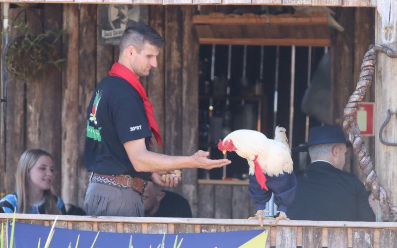 Piquete do Galo é uma das atrações do Acampamento Farroupilha de Sapiranga | abc+