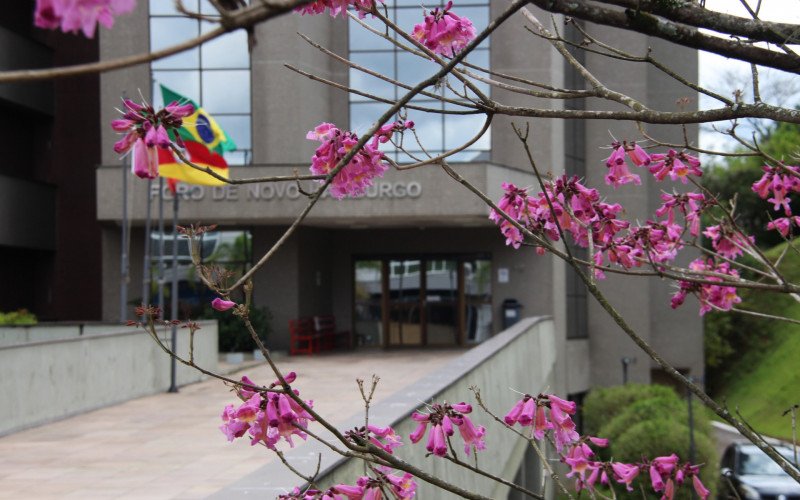 Flores coloridas anunciam a chegada da primavera pela região