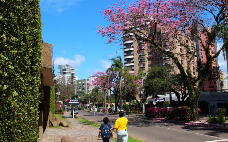 Flores coloridas anunciam a chegada da primavera pela região | abc+