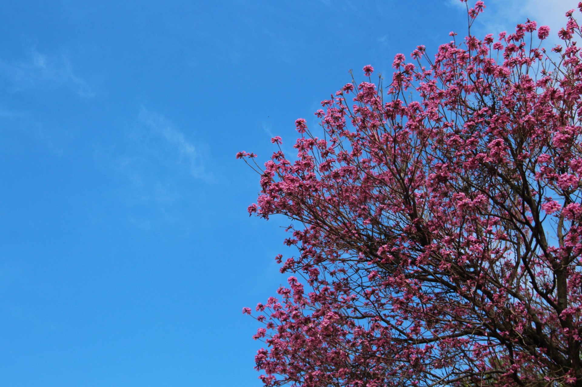 Tempo já começa a mudar no domingo (14); veja a previsão da MetSul para o RS
