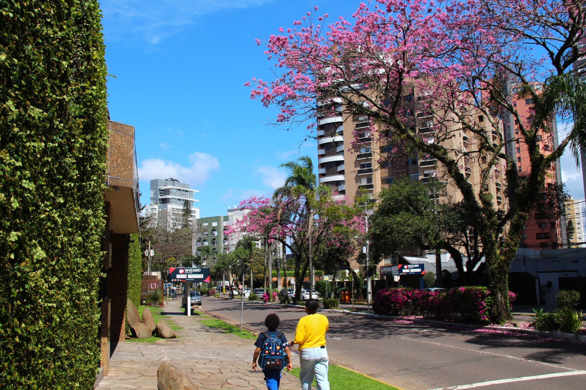 Vento de Finados e tardes com calor de até 34°C: Confira como serão os próximos dias no RS
