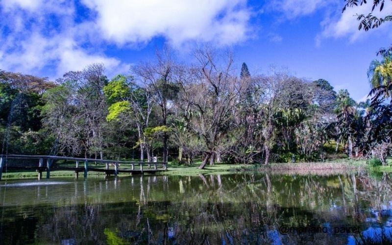 Jardim Botânico celebra 67 anos com pacote de revitalização de R$ 5 milhões