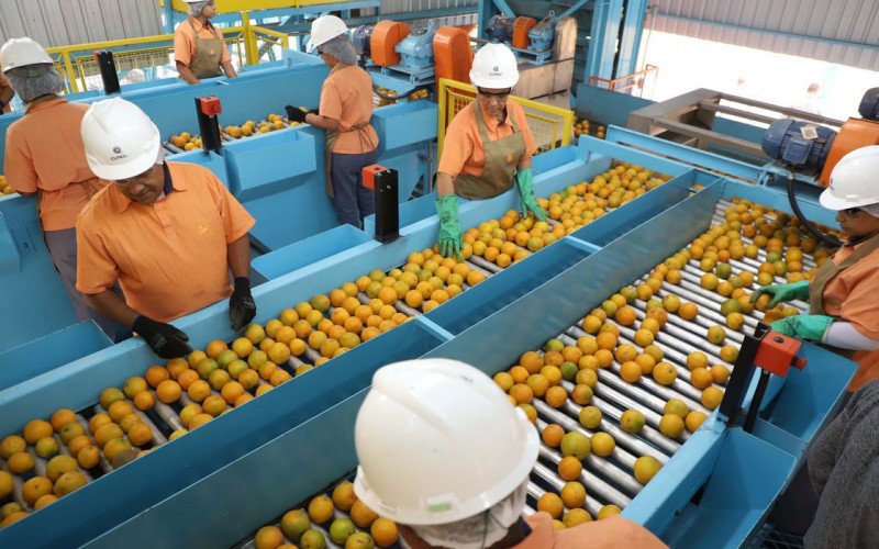 Exportação de produtos atingidos por tarifaço cai 22% em agosto | abc+