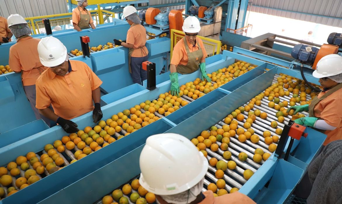 TARIFAÇO: Exportação de produtos atingidos cai 22% em agosto