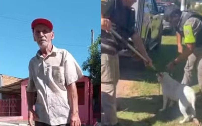 Entregador de lenha morre após ser atacado por 4 pitbulls no RS; um cachorro foi sacrificado