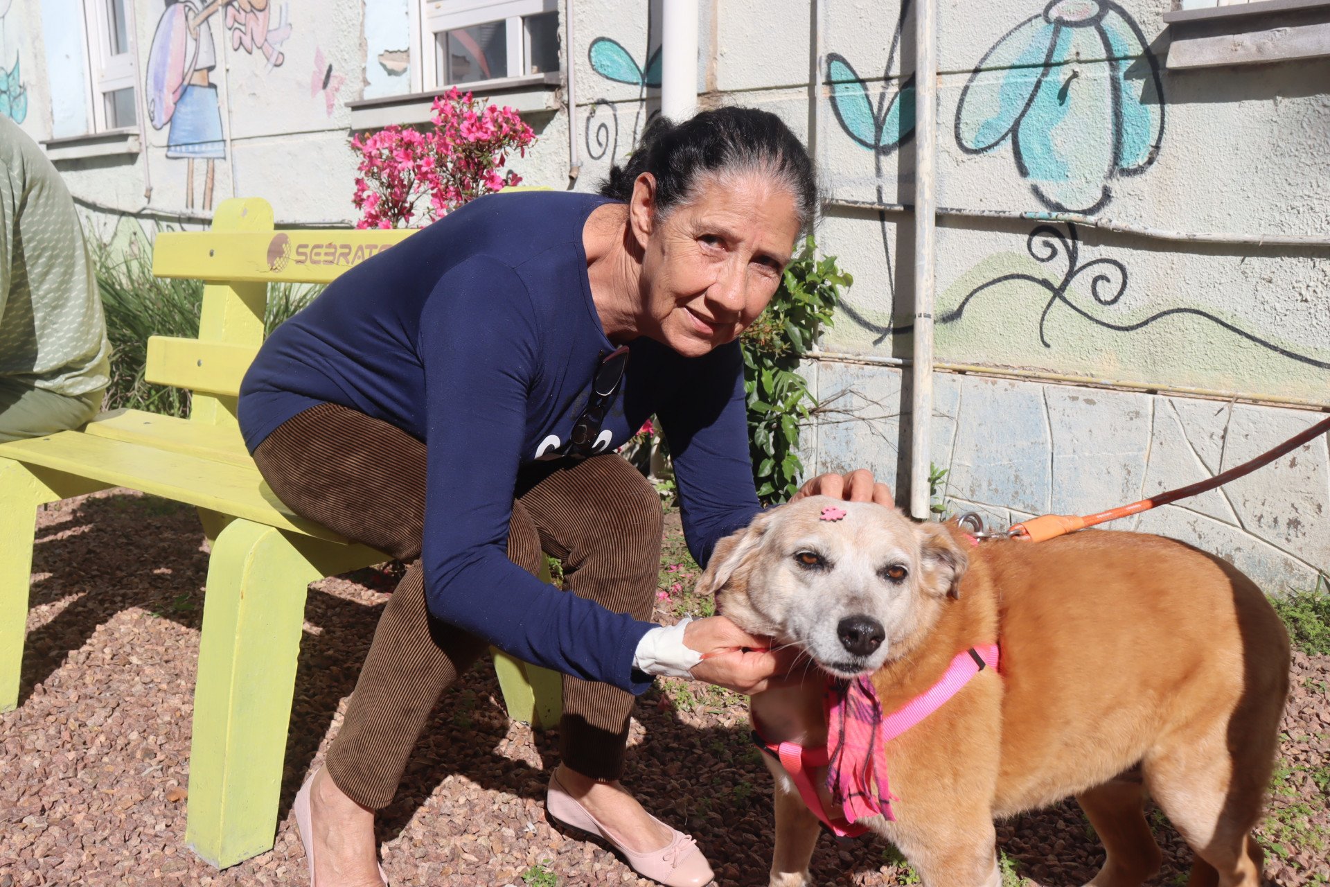 Emoção marca retomada do espaço de visita com animais no Hospital Centenário