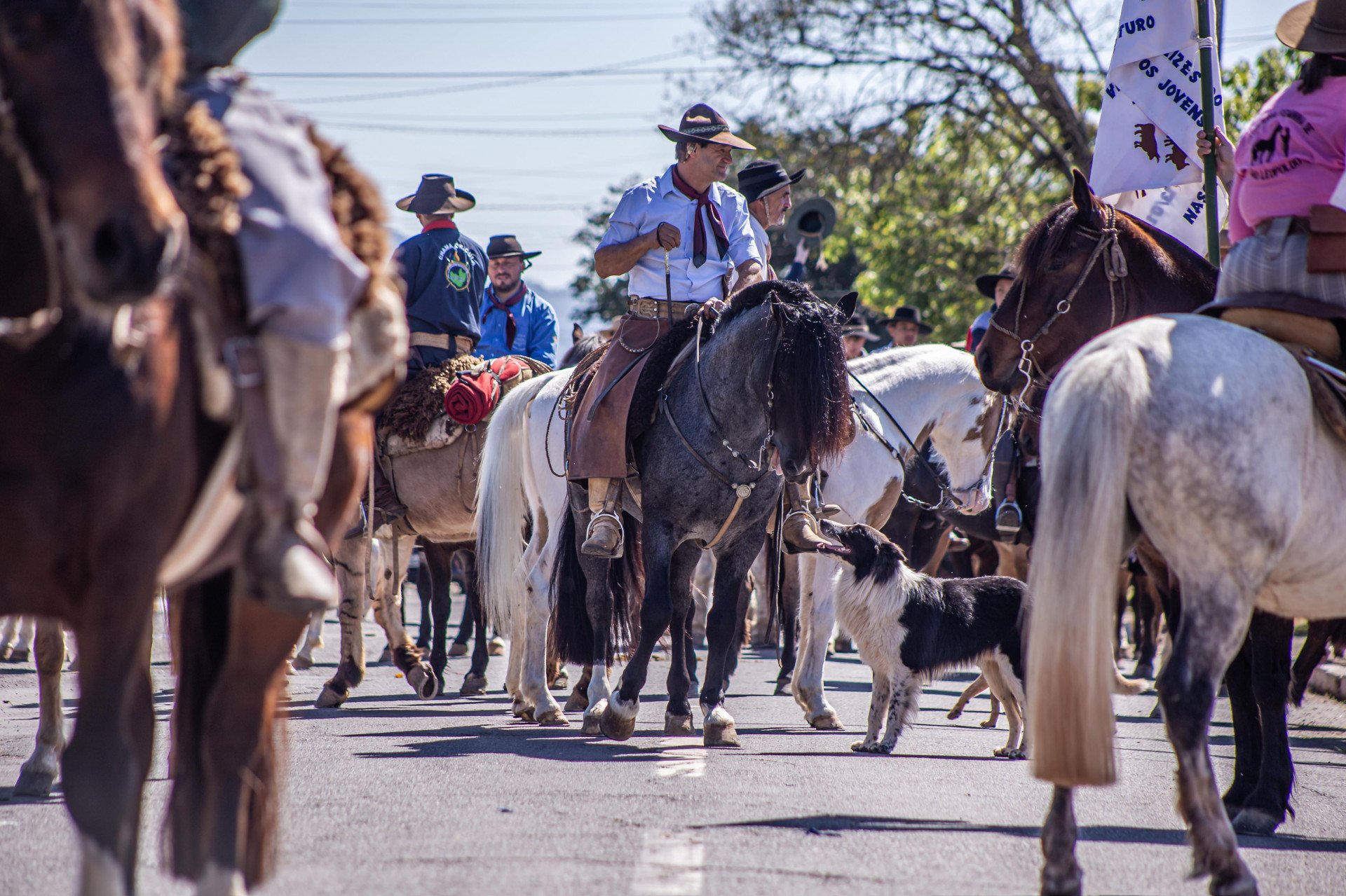 Desfile Misto da Feitoria abriu a Semana Farroupilha 2025 em São Leopoldo