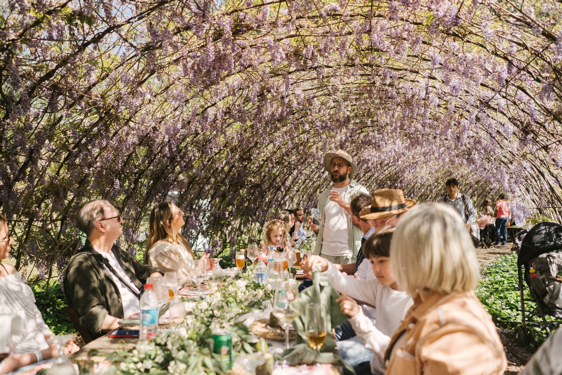 Celebração do início da primavera na Serra gaúcha terá festim com cenários de flores e túnel de glicínias de 102 metros