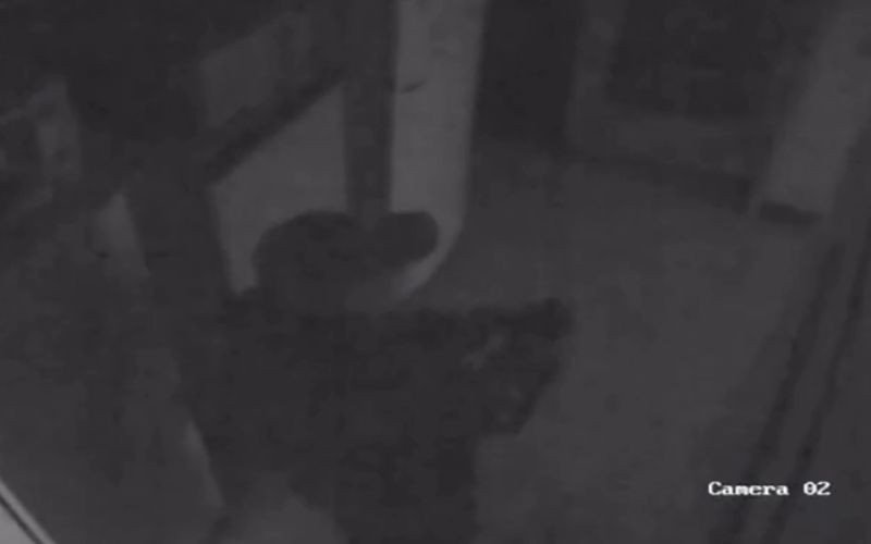 Ricardo Jardim, de 66 anos, foi flagrado colocando luvas e indo ao quarto que dividia com Brasília Costa / caso da mala | abc+