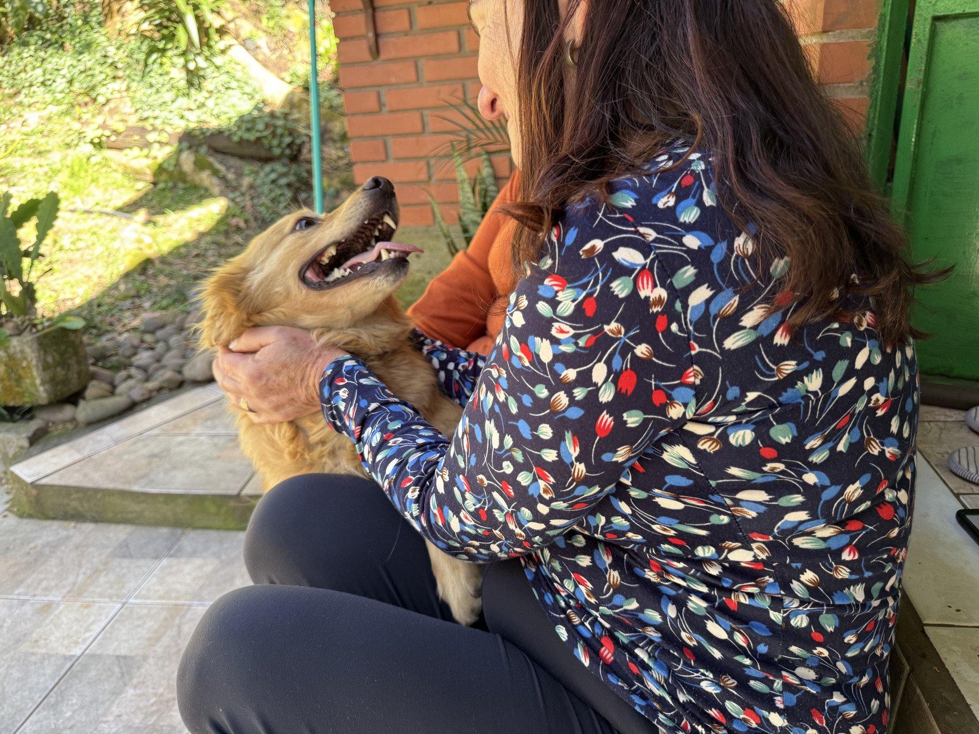 Após um ano aguardando adoção, cão propaganda do Cempra Canela tem nova família e lar