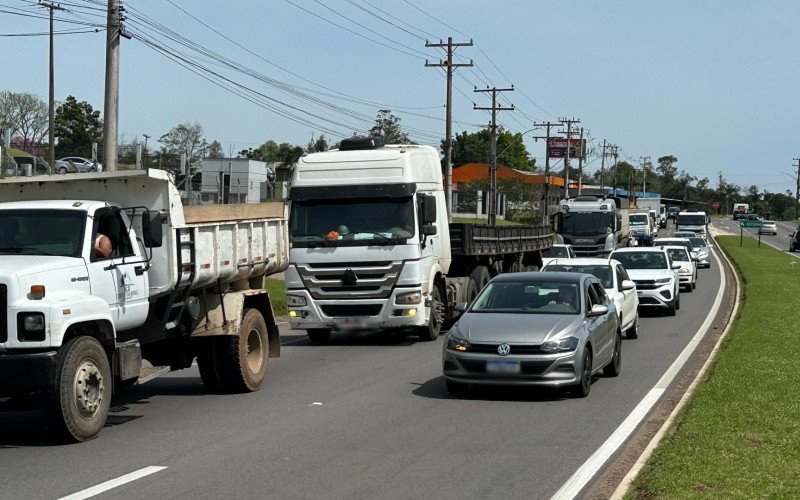 RS-240: Cavalo é atropelado por caminhão no Vale do Sinos

