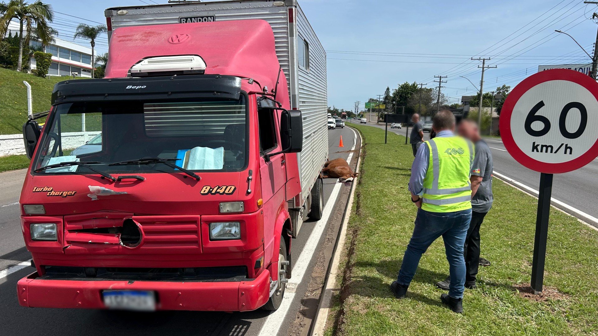RS-240: Cavalo é atropelado por caminhão no Vale do Sinos