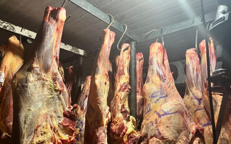 Carne estragada foi apreendida em açougue de Santa Maria | abc+