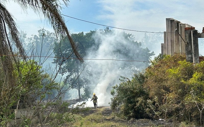 Incêndio em vegetação mobiliza bombeiros às margens da BR-116 em Novo Hamburgo
