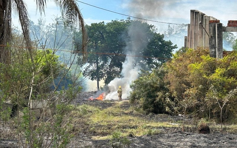 Incêndio em vegetação mobiliza bombeiros às margens da BR-116 em Novo Hamburgo
