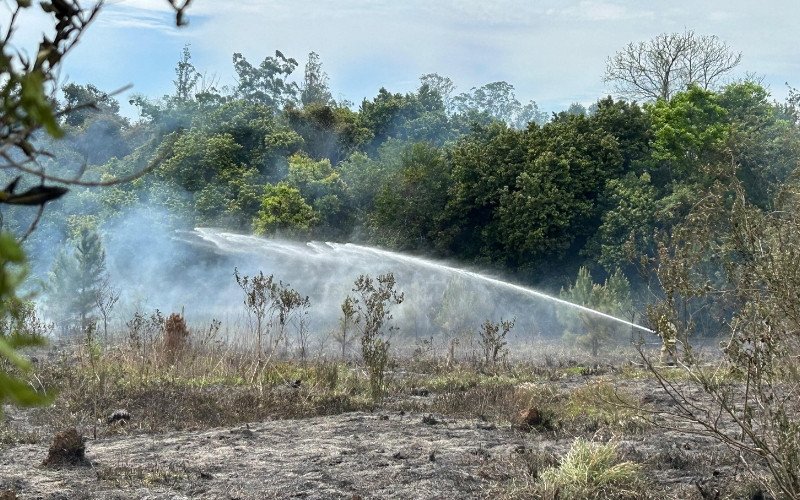 Incêndio em vegetação mobiliza bombeiros às margens da BR-116 em Novo Hamburgo
