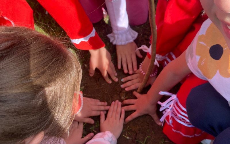 Escolas de Gramado recebem doação e plantio de mudas nativas em ação de educação ambiental