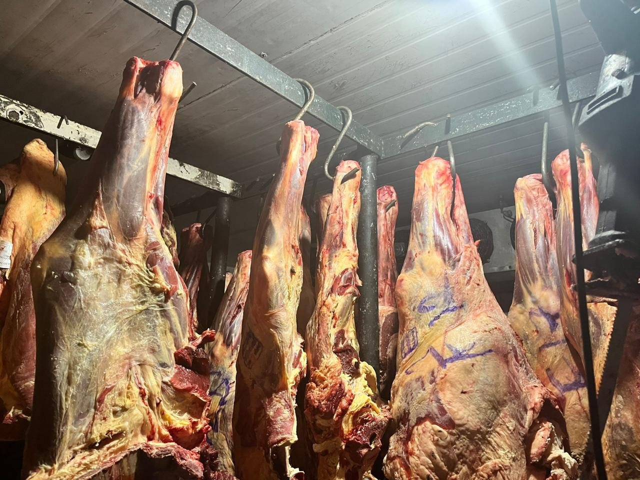 Gerente de açougue é preso e mais de 2,2 toneladas de carnes estragadas são apreendidas no RS; marmitas eram preparadas em ambiente precário