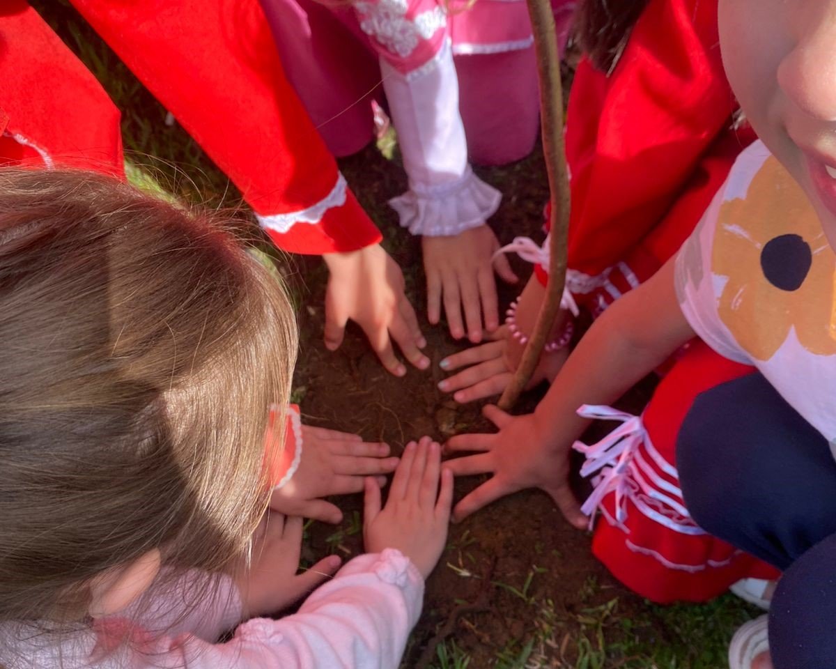 Escolas municipais de Gramado recebem e plantam mudas nativas em ação de educação ambiental