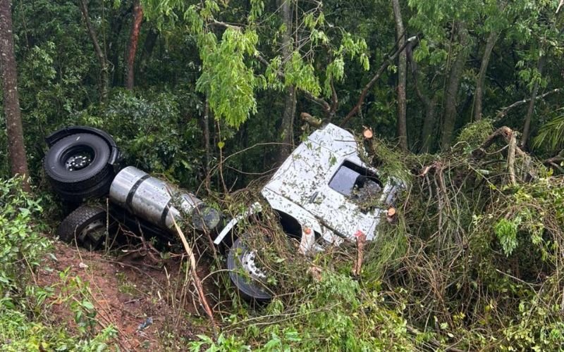 Caminhão capota e fica suspenso em árvores às margens de rodovia da região