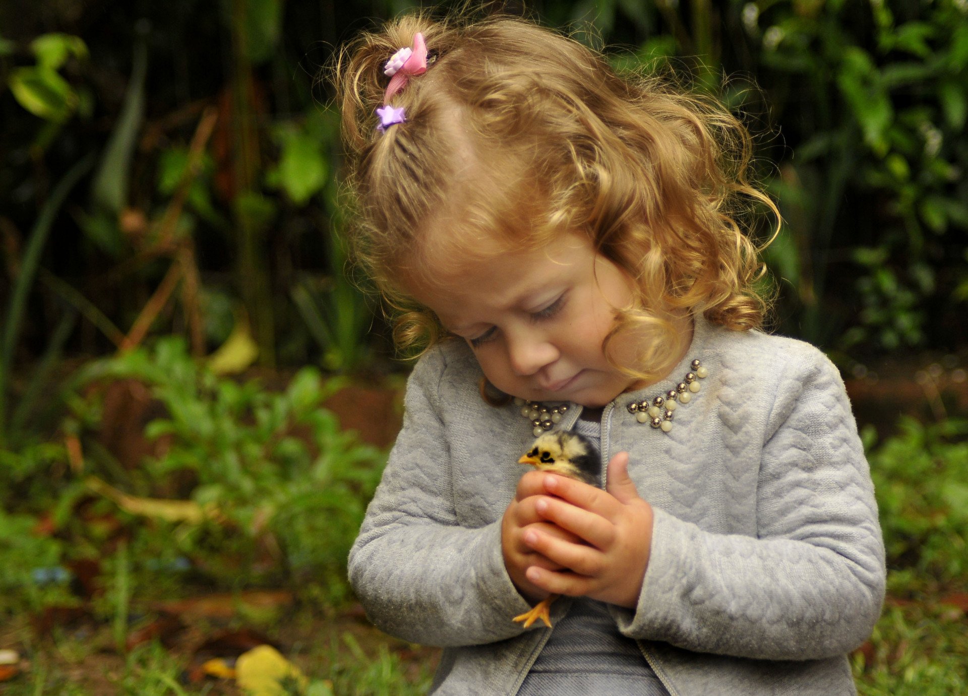 Serena e seus pintinhos: pequena moradora de Nova Santa Rita é tutora de pets inusitados