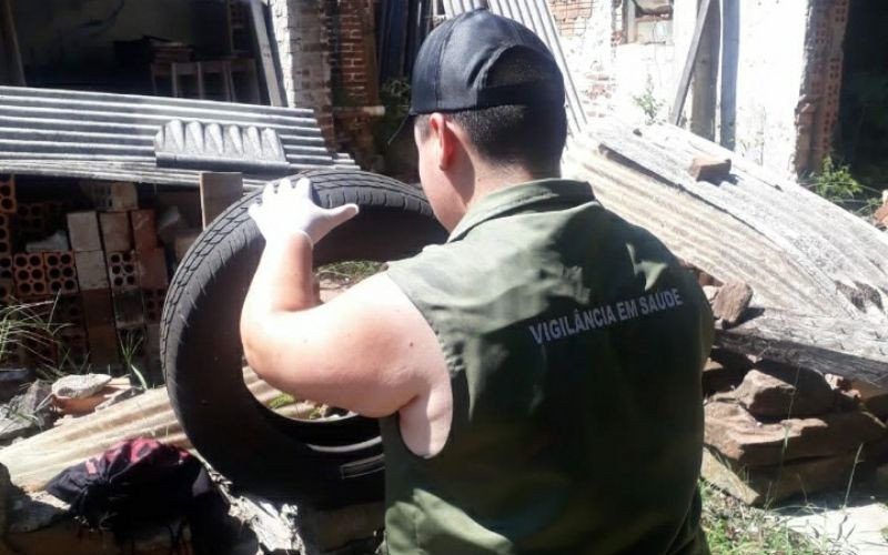 Novo Hamburgo está em estado de alerta para doenças transmitidas pelo mosquito, como dengue, zika e chikungunya