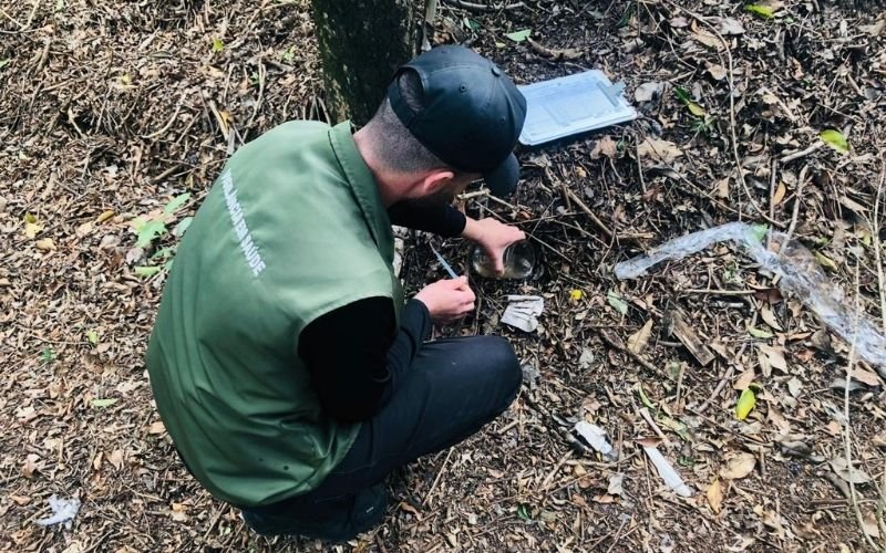 Novo Hamburgo entra em alerta para doenças transmitidas pelo Aedes aegypti