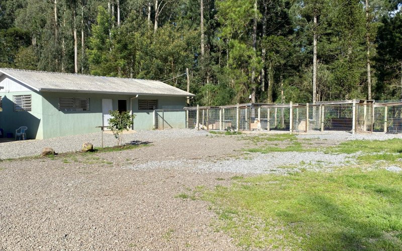 Cempra em Canela