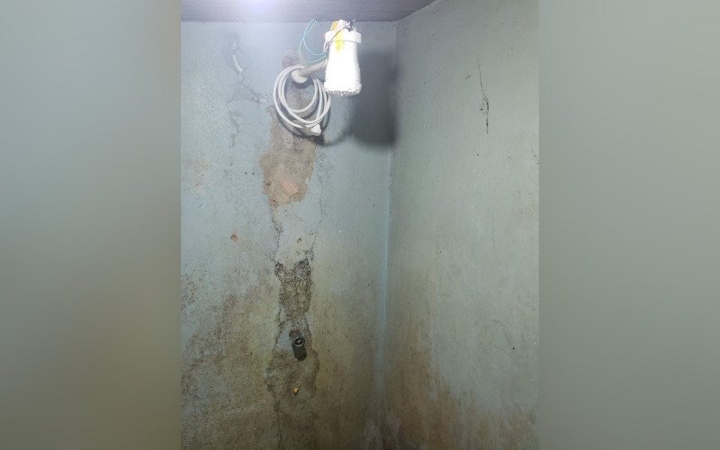 MPT-RS processa JBS Aves por exploração de trabalhadores na apanha de frangos