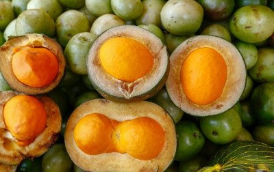 Pequi