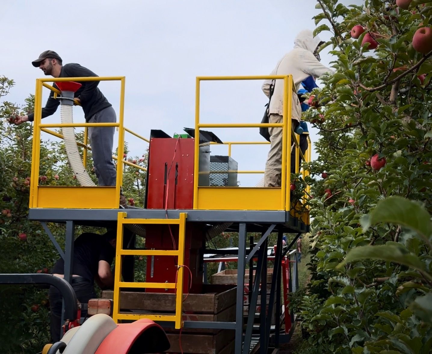 Novo Hamburgo Feevale Summit: Soluções inovadoras para áreas de fruticultura fazem parte do evento; confira