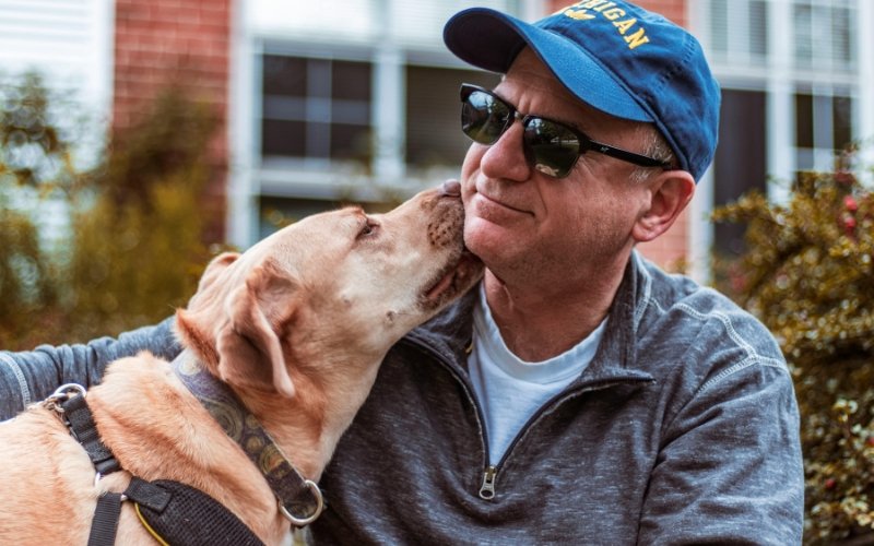 Seu cachorro tem uma pessoa favorita: Será que é você? Entenda como o cão escolhe e demonstra amor
