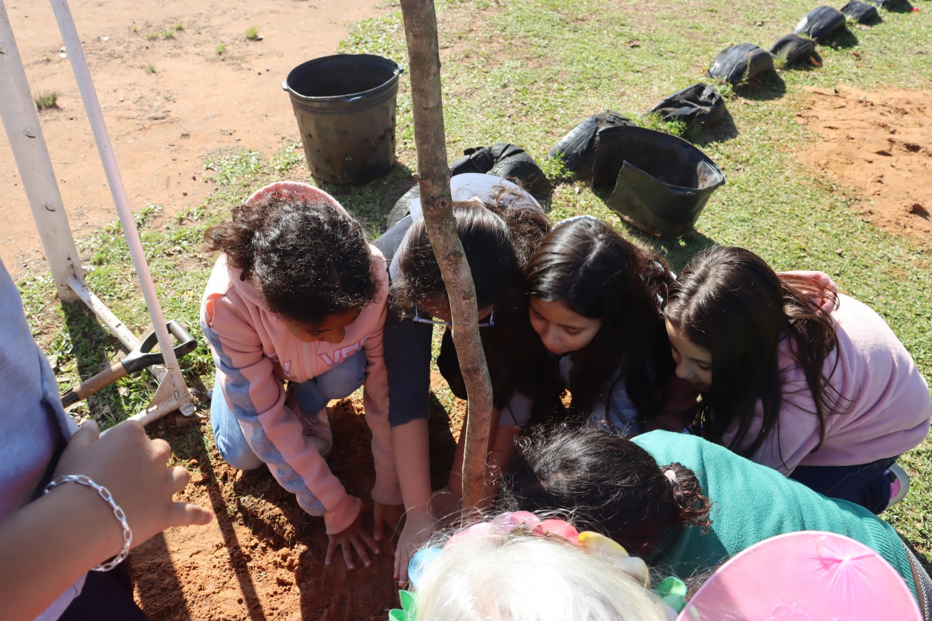 Escola de Novo Hamburgo ganha minifloresta em projeto ecológico