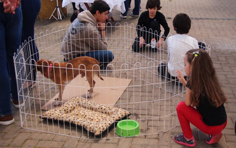 Festival da Primavera conta também com feira de adoção