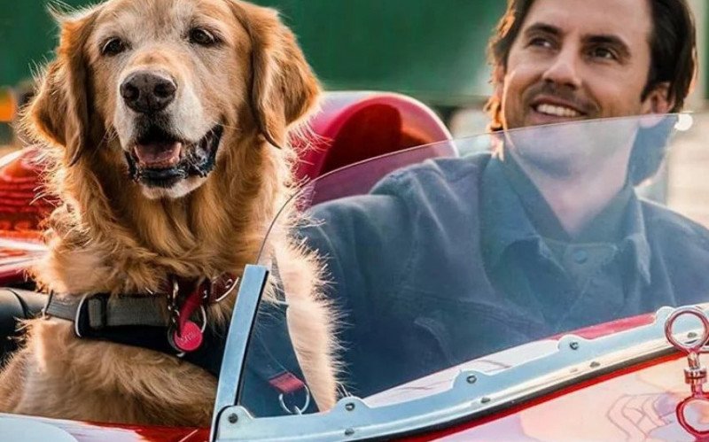 meu_amigo_enzo.jpg | abc+
