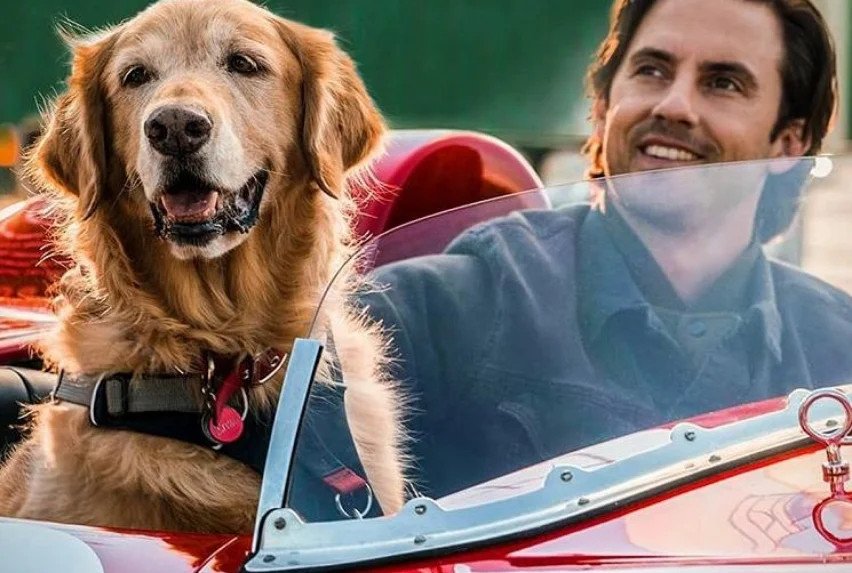 SESSÃO DA TARDE: Confira o filme que a TV Globo exibe nesta segunda-feira, dia 29 de setembro