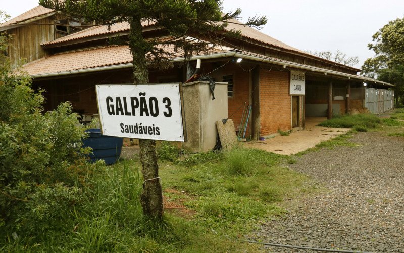  30/09/25    ABRIGO PALMIRA GOBBI 
