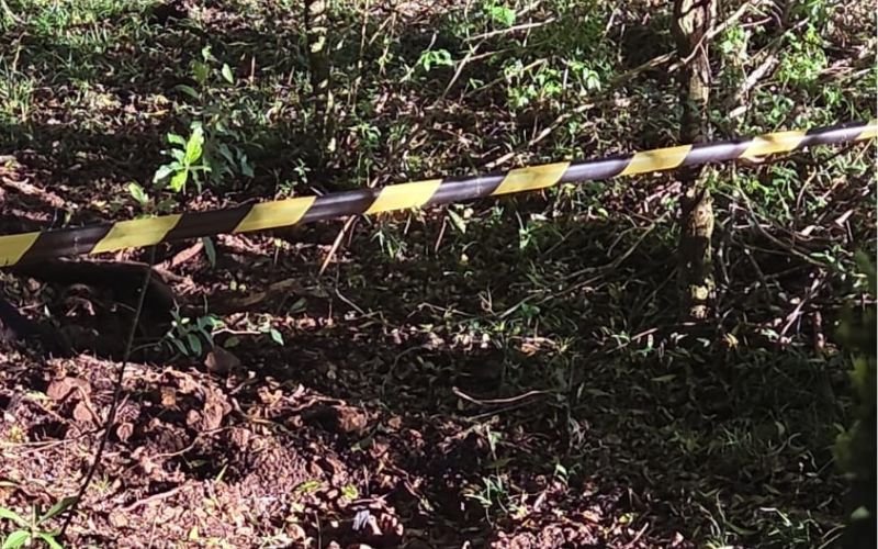"Virou rei depois do assassinato": Delegado dá detalhes sobre caso de adolescente de 16 anos que matou e escondeu corpo do pai