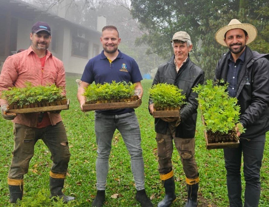 Mais de 200 mil mudas de Acácia Negra são entregues a produtores de Gramado