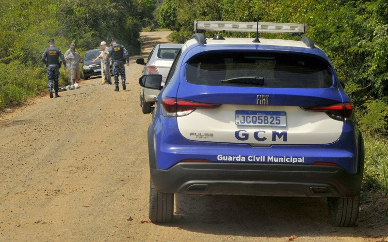 Animais encontrados à beira da Estrada Che Guevara, em Nova Santa Rita, permanece sendo investigada | abc+