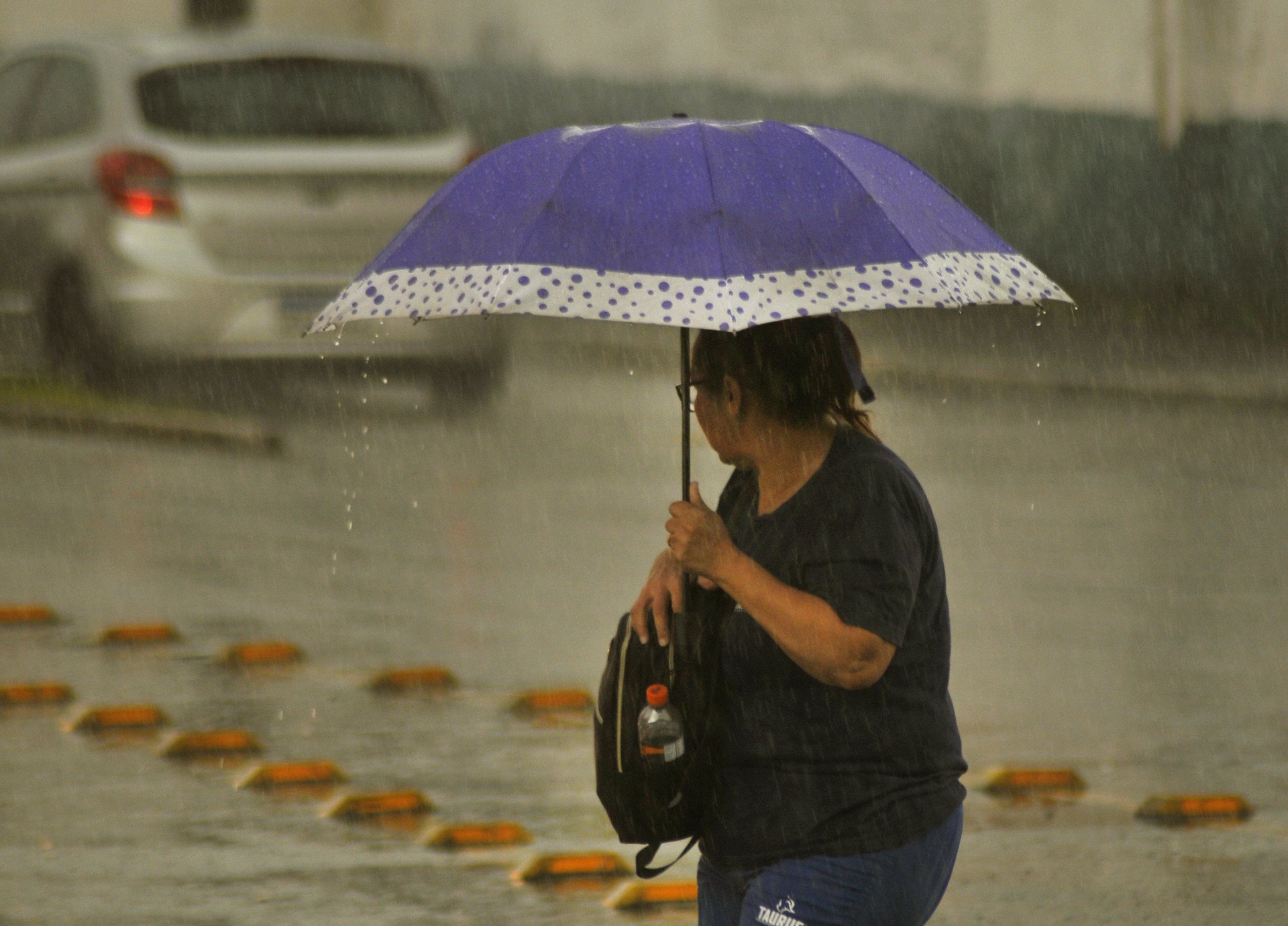 Chuva deve marcar a semana no Rio Grande do Sul | abc+
