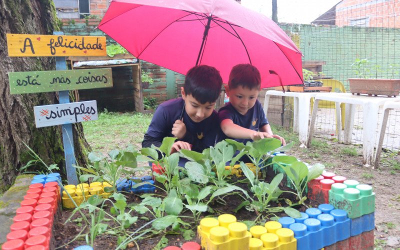 Joaquim e Fernando cultivam pimentão e tomate na horta