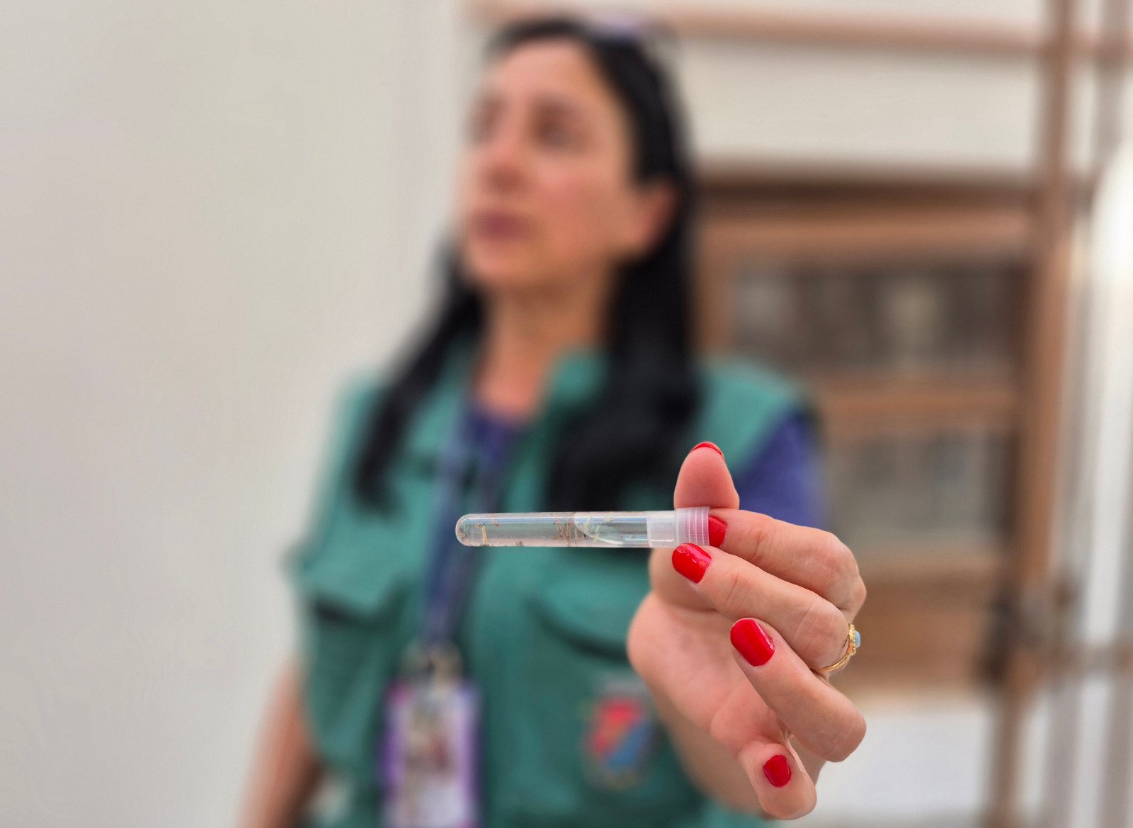 Projeção de aumento no número de casos de dengue deixa São Leopoldo em alerta